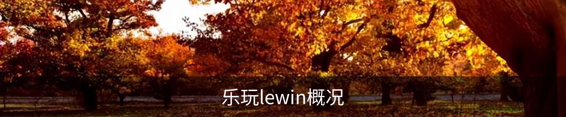 乐玩lewin概况