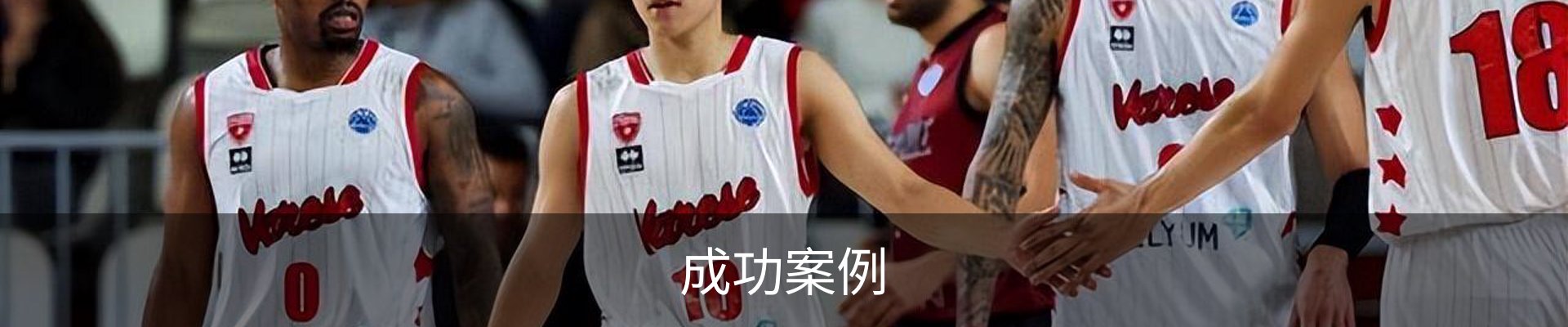 成功案例